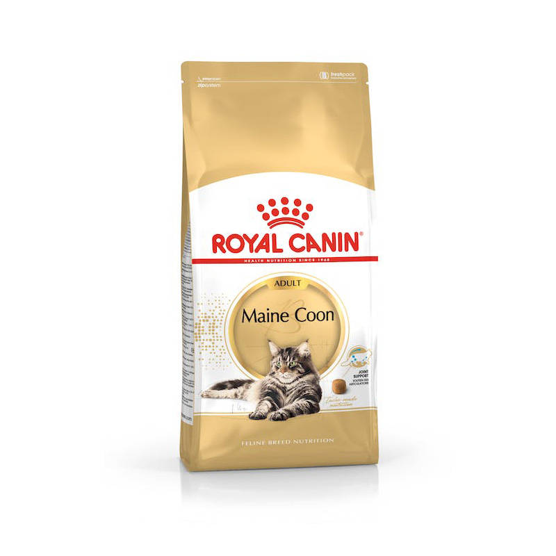 Royal Canin Adult Maine Coon 4 kg - sucha karma dla dorosłych kotów 4kg Dostawa GRATIS od 99 zł + super okazje