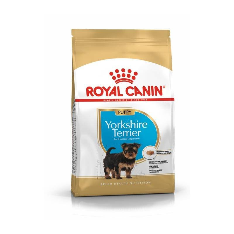 Royal Canin Yorkshire Terrier Junior 1,5 kg - sucha karma dla psów rasy Yorkshire Terrier psy młode 1.5kg Dostawa GRATIS od 99 zł + super okazje
