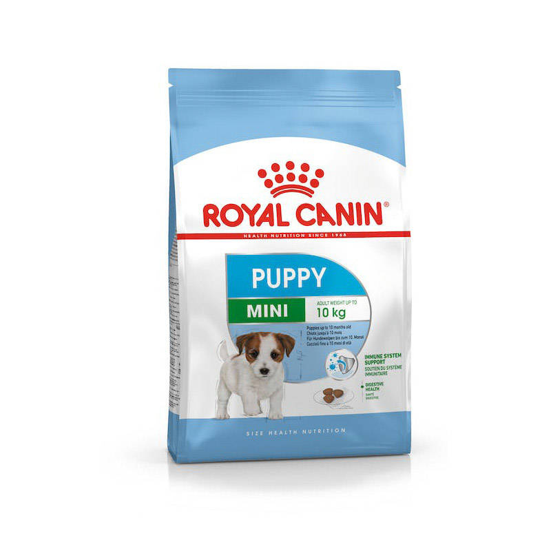 Royal Canin Mini Junior 8 kg - sucha karma dla młodych psów rasy małej 8kg Dostawa GRATIS od 99 zł + super okazje