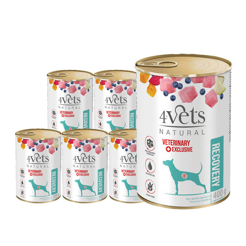 Mokra karma weterynaryjna dla psa rekonwalescenta 4Vets Natural Recovery 6 x 400 g