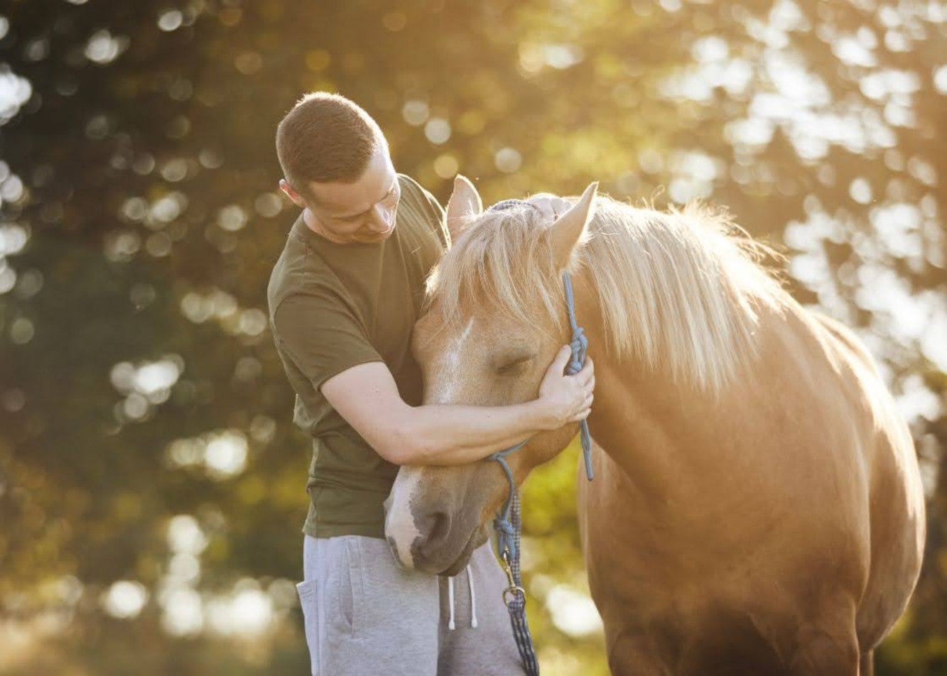 Właściwa pielęgnacja konia – jak wygląda i o czym pamiętać?
