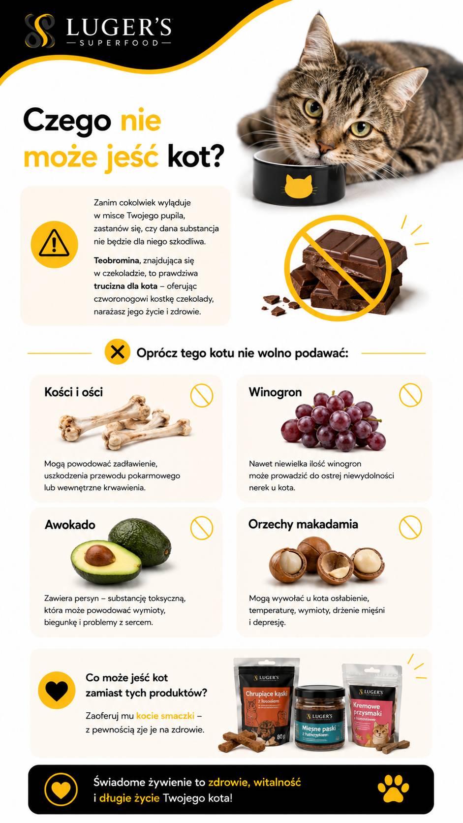czego nie może jeść kot