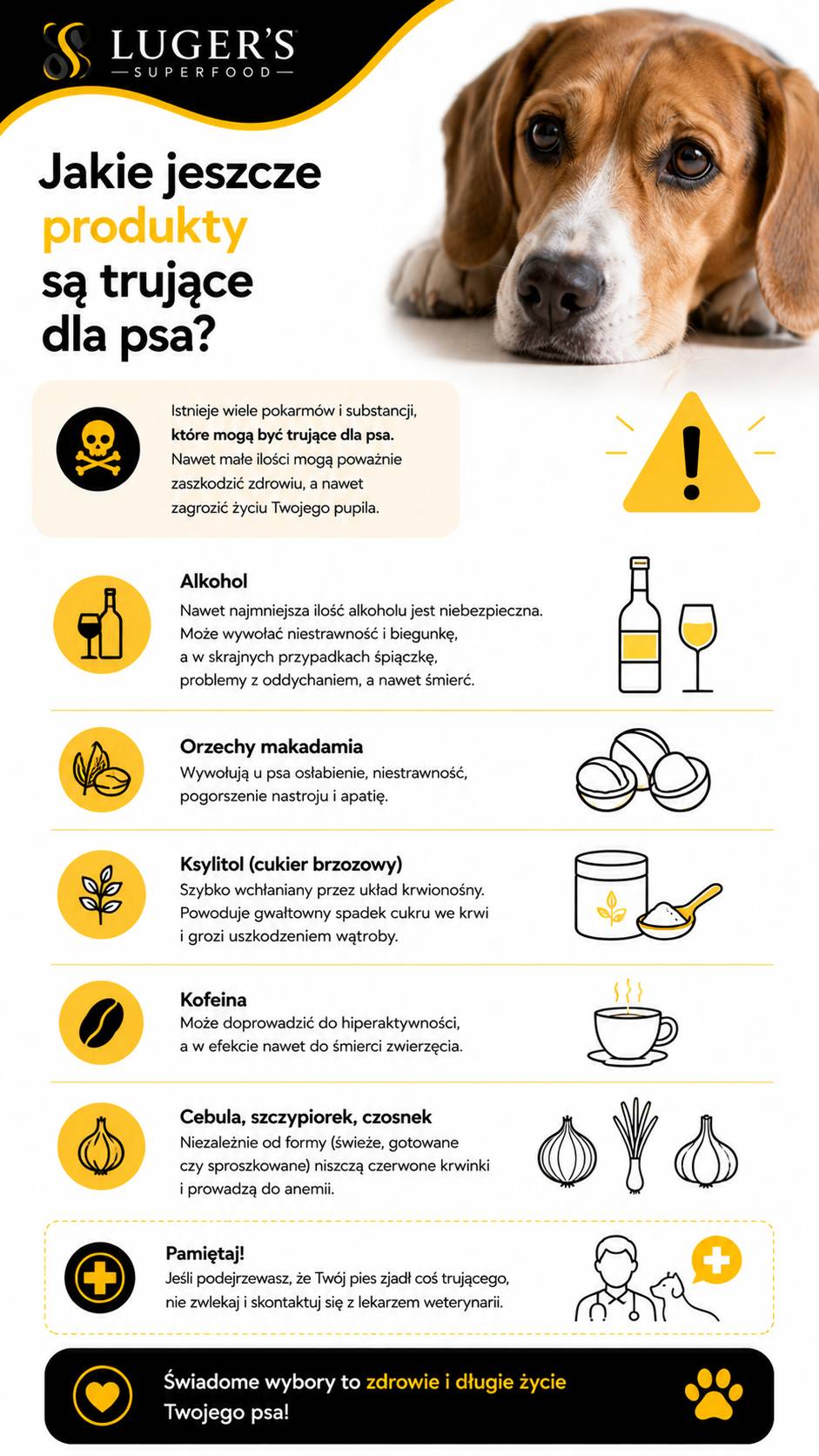 co jest trujące dla psa