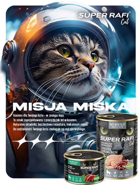 Super Rafi Cat - odkryj nowe karmy dla kota