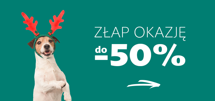 Złap okazje promocje świąteczne