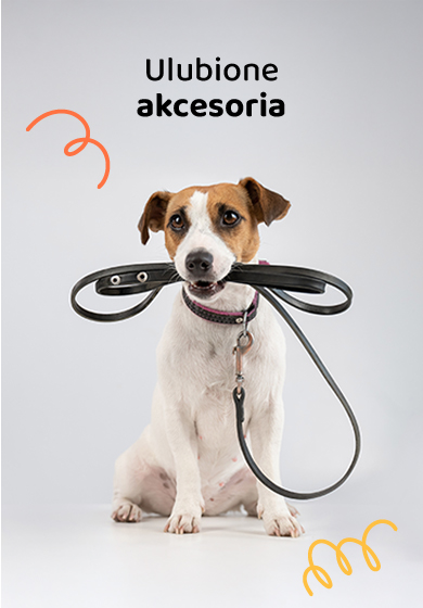Akcesoria dla psa