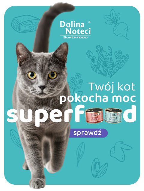 Nowość - karma dla kota Dolina Noteci Superfood