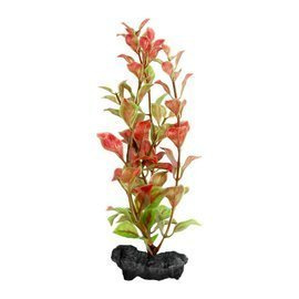 Tetra DecoArt Plant L Red Ludwigia Sztuczna roślina do akwarium