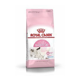 Karma sucha dla kota Royal Canin BabyCat 400 g
