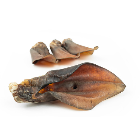 Psi Smak gryzak dla psa ucho wołowe 1 szt.