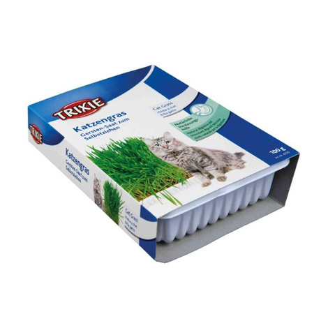 Trixie Nasiona trawy w pojemniku dla kota 100 g