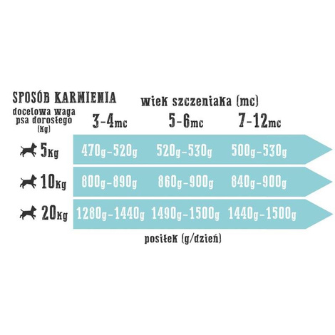 Archiwum Wiejska zagroda pies dla szczeniąt rybna uczta 200 g