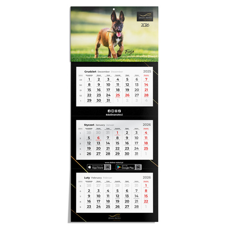 Kalendarz ścienny 2026 trójdzielny Pies