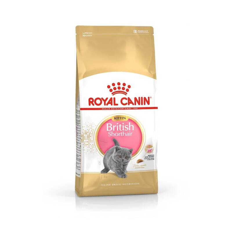 Royal Kitten Brit Shorth sucha karma dla kota 2 kg