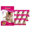 Super Benek Saszetka dla kota juniora z kawałkami jagnięciny zestaw 12 x 100 g