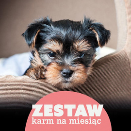 Mokra karma dla psa do 5 kg na 30 dni Dolina Noteci Superfood 28 x 400 g