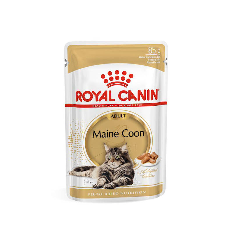 Royal Canin Maine Coon karma mokra dla kota 85 g