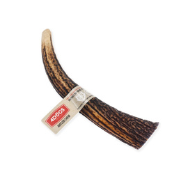 4Dogs Gryzak z poroża dla psa hard M-Line XXL