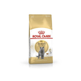 Karma sucha dla kota Royal Canin British Shorthair 4 kg