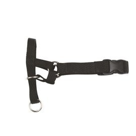 Kaganiec treningowy Chaba 1 - Yorkshire Terrier